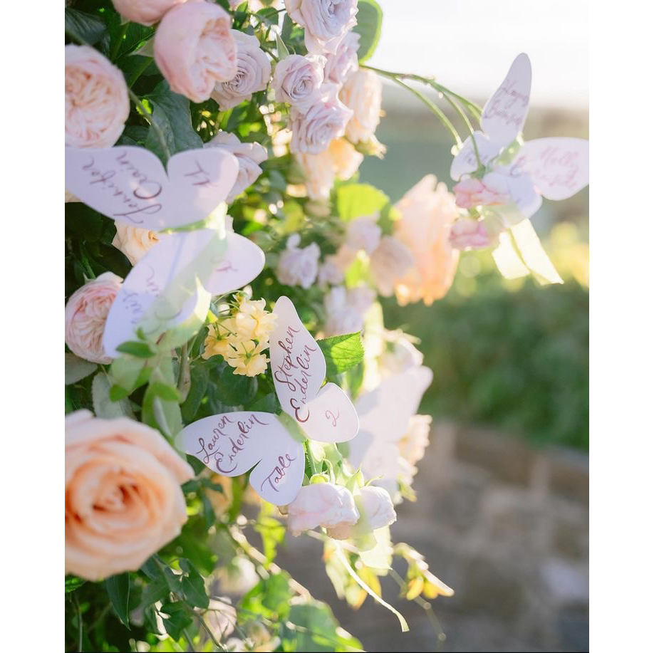 Custom Elegant Butterfly Menu  - Wedding Supply Business 评论和价格