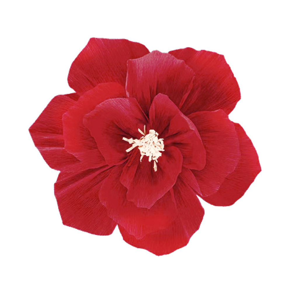 DIY Pleated Paper Flowers Wedd - Supply Wedding Venue 评论和价格